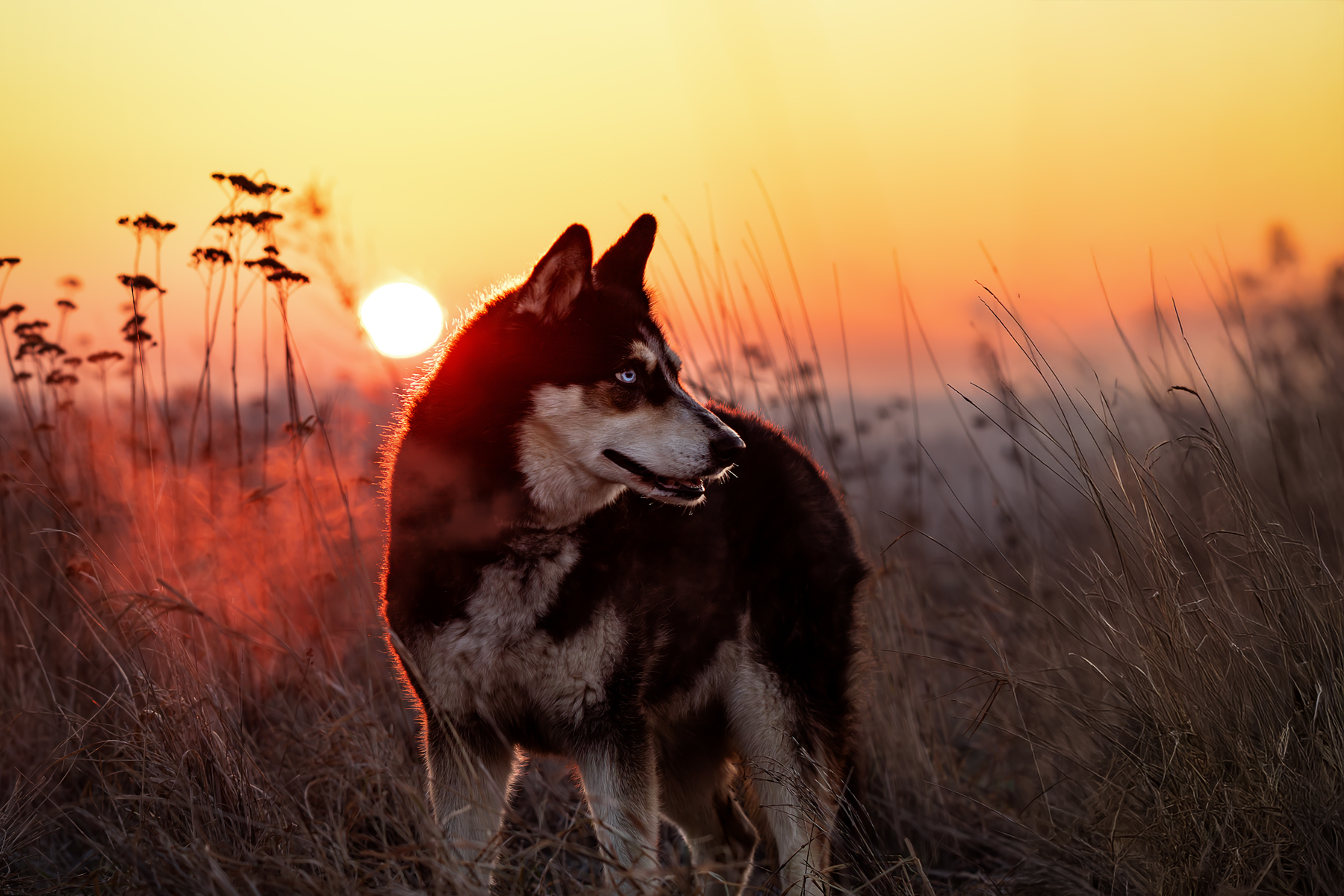 Mein erstes Shooting – wie alles begann