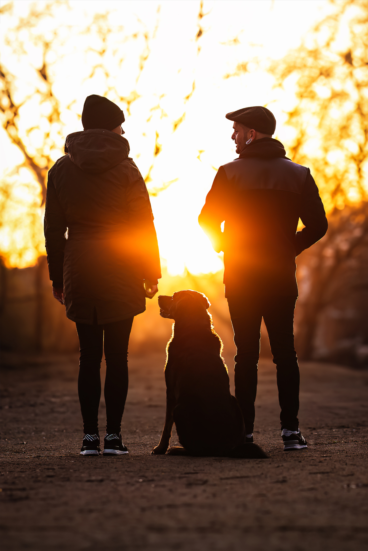 Hund und Mensch im Sonnenaufgang